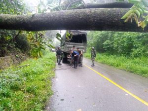 Satgas Yonif 403/WP Sigap Evakuasi Pohon Tumbang Di tengah Jalan Trans Papua Perbatasan RI-PNG