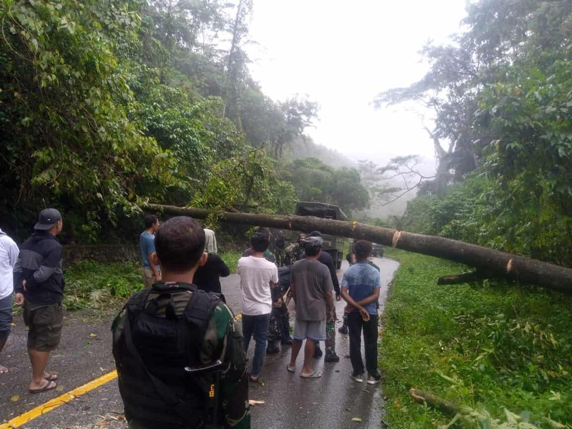Satgas Yonif 403/WP Sigap Evakuasi Pohon Tumbang Di tengah Jalan Trans Papua Perbatasan RI-PNG