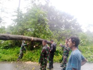 Satgas Yonif 403/WP Sigap Evakuasi Pohon Tumbang Di tengah Jalan Trans Papua Perbatasan RI-PNG