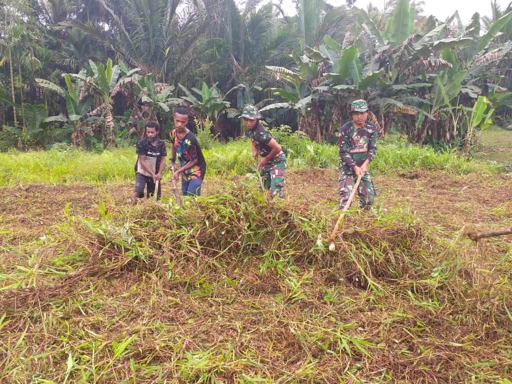 Jelang HUT RI, Satgas Yonif 403/WP Pangkas Padang Rumput Jadi Lapangan Sepak Bola di Perbatasan RI-PNG