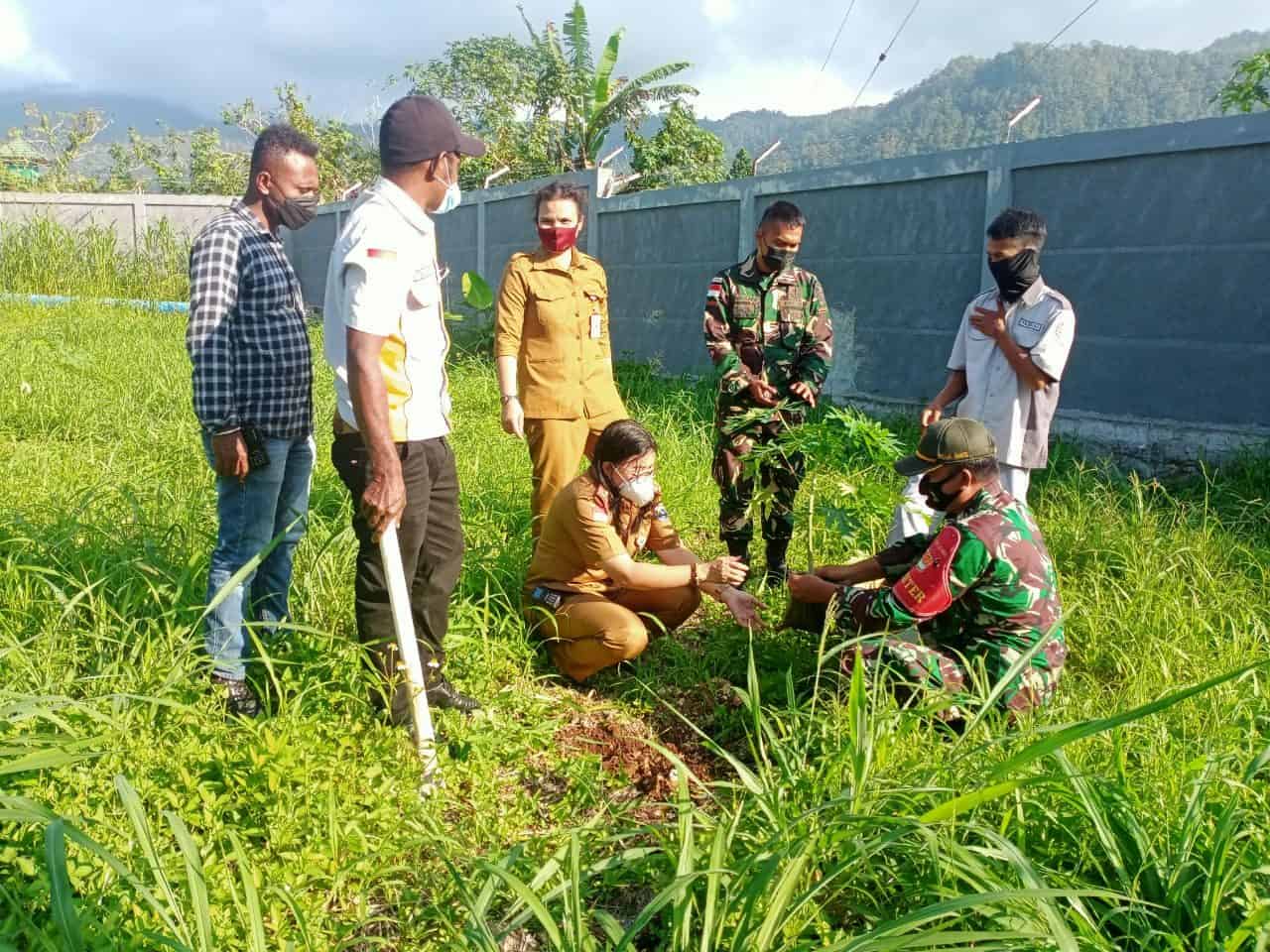 Manfaatkan dan Pelihara Lingkungan Tetap Hijau, TNI Tanam 500 Pohon Pepaya di PLBN Skouw Papua