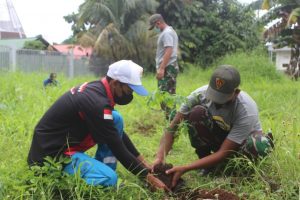 Manfaatkan dan Pelihara Lingkungan Tetap Hijau, TNI Tanam 500 Pohon Pepaya di PLBN Skouw Papua