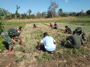 Dansatgas Pamtas Yonif 742/SWY Apresiasi Pos Bantu Hanpang di Wilayah Perbatasan