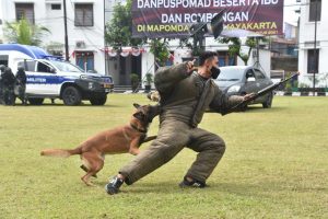 Danpuspomad Tinjau Pelatihan K-9 dan Instalasi Tahanan Militer Pomdam Jaya