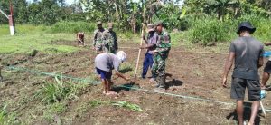 Satgas Yonif 131 Bantu Petani Perbatasan Tanam Padi