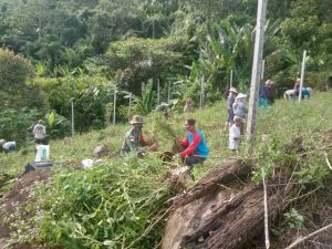 Satgas Pamtas Yonif Mekanis 643/Wns Bersama Masyarakat Perbatasan Panen Kacang Tanah