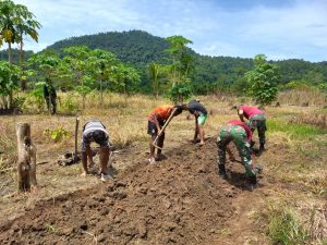 Dukung Ketahanan Pangan, Satgas Yonif 131/Brs dan Masyarakat Buat Kebun Sayuran di Papua