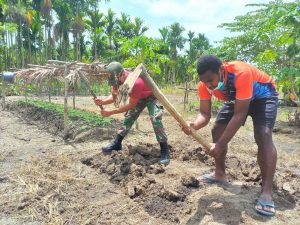 Dukung Ketahanan Pangan, Satgas Yonif 131/Brs dan Masyarakat Buat Kebun Sayuran di Papua