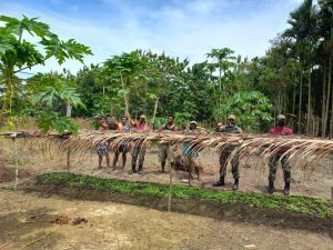 Dukung Ketahanan Pangan, Satgas Yonif 131/Brs dan Masyarakat Buat Kebun Sayuran di Papua