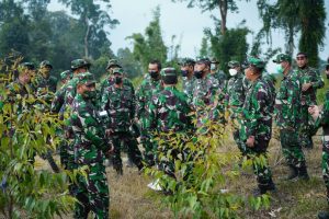 Kasdam I/BB Dampingi Dankodiklatad Tinjau Medan Latihan YTP Yonif R 100/PS