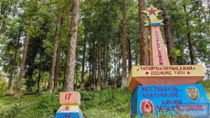 Danrem 061/SK : 68 Makam Pahlawan Tanpa Nama di Kecamatan Takokak Cianjur Harus Dijaga dan Dirawat Oleh Generasi Penerus
