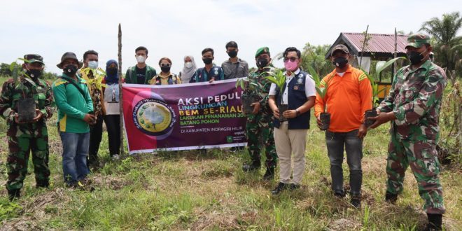 Kodim 0314/lnhil Bersama BEM Seluruh Riau Lakukan Penanaman Pohon yang Bernilai Ekonomis