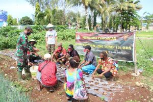 Satgas Pamtas 131 Ajarkan Berkebun Bawang Merah di Skouw Papua