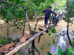 Satgas Yonif 144/JY Bersama Warga Gotong Royong Perbaiki Jembatan Gantung Di Perbatasan