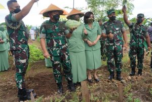 Kasad Panen Sayur dan Buah di Kasuari Green Kodam Kasuari