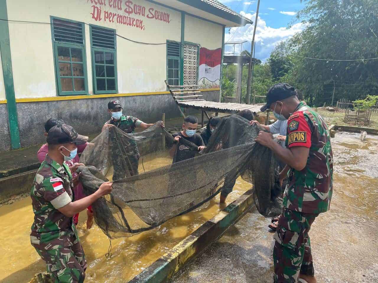 Satgas Yonmek 643/Wns Panen Ikan Nila Bersama Warga Perbatasan