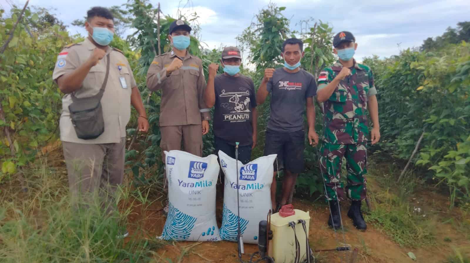 Dukung Ketahanan Pangan Satgas Yonif 144/JY Bersama Karantina Pertanian Berikan Bantuan Pupuk