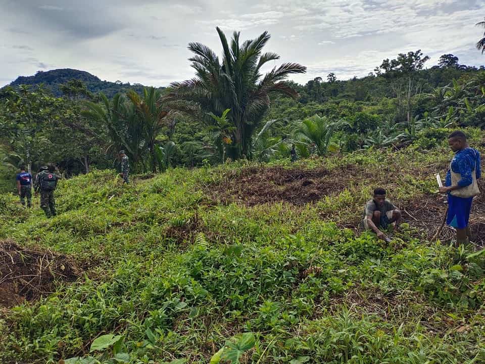Tingkatkan Ketahanan Pangan, Satgas Pamtas Yonif 126/KC Ajak Warga Sulap Tanah Adat Jadi Lahan Produktif di Perbatasan RI-PNG