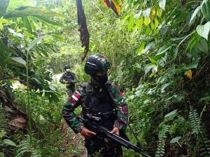 Patroli Gabungan Satgas Pamtas RI-PNG Yonif 711/RKS Berhasil Gagalkan Penyelundupan Ganja