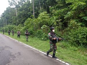 Patroli Gabungan Satgas Pamtas RI-PNG Yonif 711/RKS Berhasil Gagalkan Penyelundupan Ganja