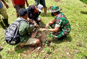 Sinergi Jaga Kelestarian Alam, Satgas Yonif 743/PSY Bersama Pemerintah dan Masyarakat Tanam Pohon di Gunung Perbatasan