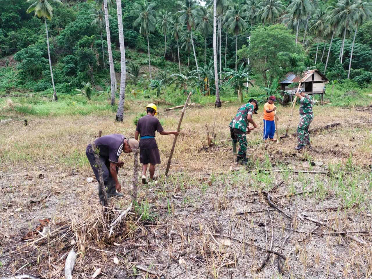 Wujudkan Ketahanan Pangan, Satgas Kodim Maluku Yonarhanud 11/WBY Bantu Warga Tanam Palawija di Desa Biloro