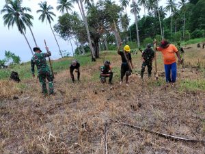 Wujudkan Ketahanan Pangan, Satgas Kodim Maluku Yonarhanud 11/WBY Bantu Warga Tanam Palawija di Desa Biloro
