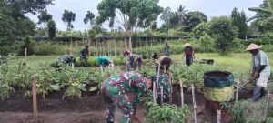 Satgas Kodim Maluku Utara Yonif RK 732/Banau Manfaatkan  Lahan Kosong Dukung Program Ketahanan Pangan