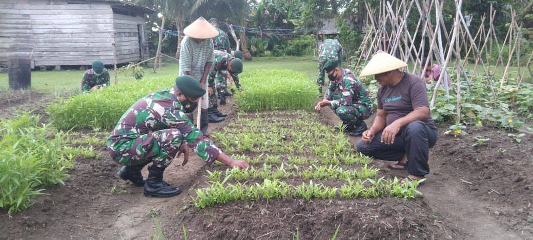 Satgas Kodim Maluku Utara Yonif RK 732/Banau Manfaatkan  Lahan Kosong Dukung Program Ketahanan Pangan