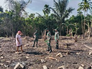 Tingkatkan Kesejahteraan, Satgas Kodim Maluku Utara Yonif RK 732/Banau Bantu Warga Berkebun