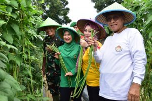 Pangdam II/Sriwijaya dan Ketua Persit PD Il/Swj Lakukan Kunjungan Agrowisata Tekno 44 di Banyuasin