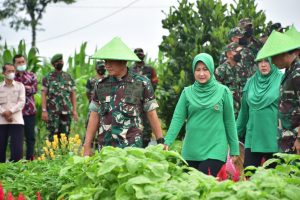 Pangdam II/Sriwijaya dan Ketua Persit PD Il/Swj Lakukan Kunjungan Agrowisata Tekno 44 di Banyuasin