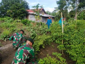 Satgas Kodim Maluku Utara Yonif RK 732/Banau Bantu Warga Berkebun Untuk Tingkatkan Kesejahteraan