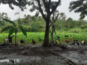 Tanaman Masyarakat Tumbuh Subur, Bukti Keberhasilan Pelatihan Pertanian Satgas Pamtas Yonif 126/KC