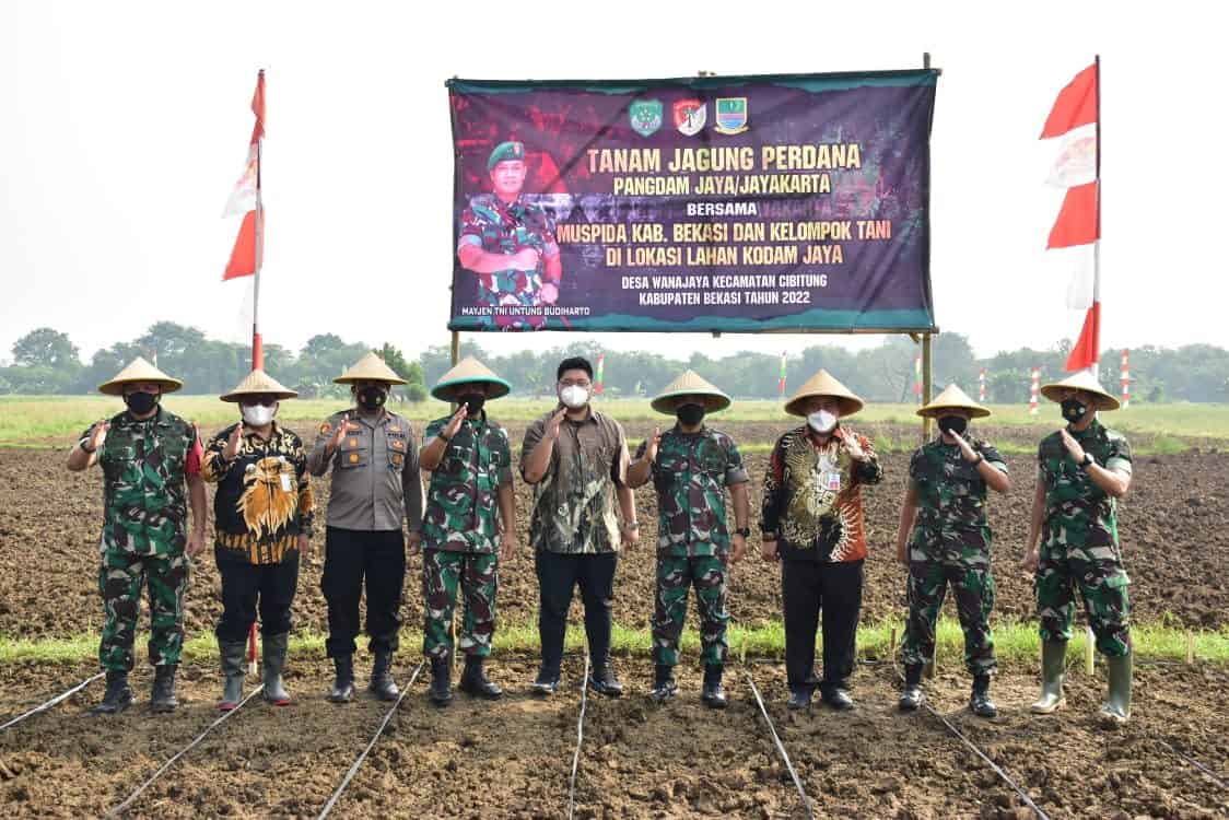 Canangkan Food Estate seluas 43 Hektar, Pangdam Jaya bersama Pemda Kabupaten Bekasi Panen Raya