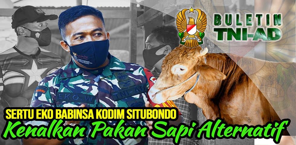 Sertu Eko, Babinsa Kodim Situbondo Kenalkan Pakan Sapi Alternatif | BULETIN TNI AD