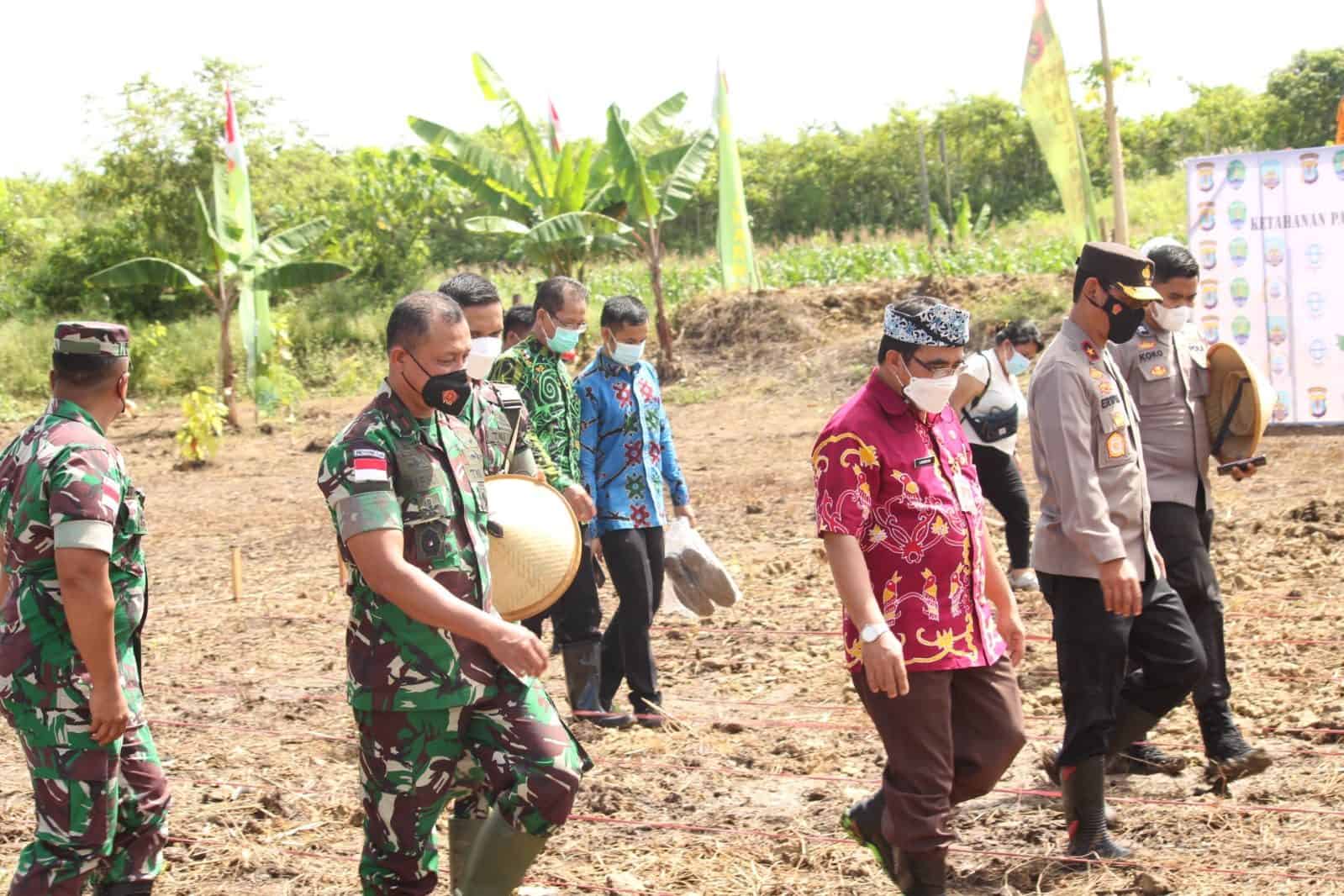 Danrem 092/Maharajalila Membuka Kegiatan Ketahanan Pangan