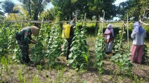 Satgas Kodim Maluku Utara Yonif RK 732/Banau Dampingi Masyarakat Bercocok Tanam di Kebun