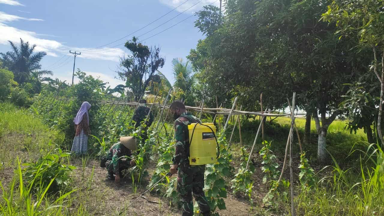 Satgas Kodim Maluku Utara Yonif RK 732/Banau Dampingi Masyarakat Bercocok Tanam di Kebun