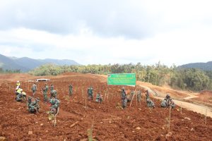 Peringati Hari Lingkungan Hidup Sedunia, Dandim 1311/Morowali Pimpin Penanaman Sejuta Pohon