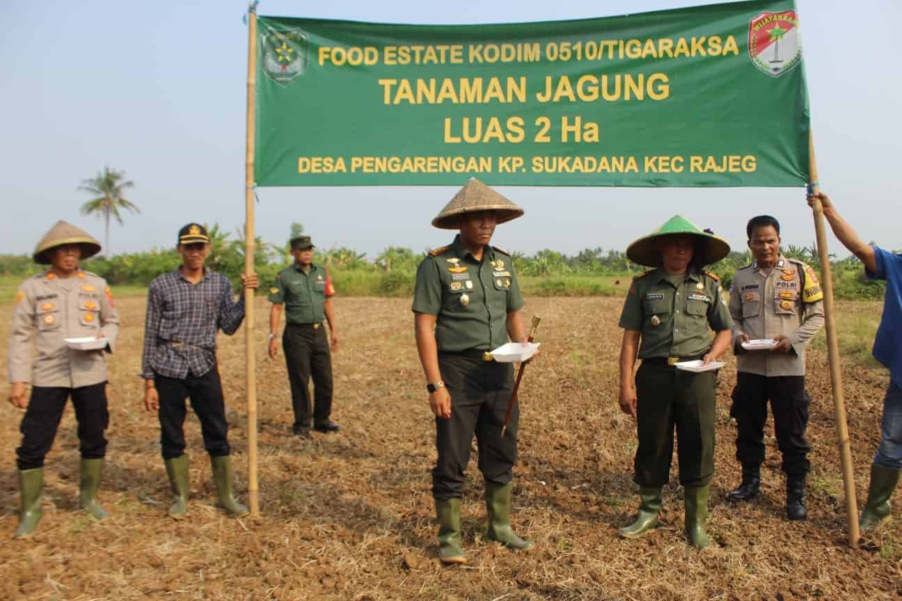 Dandim 0510/Tigaraksa Tinjau Lokasi Tanam Jagung Program Ketahahan Pangan Korem 052/Wkr