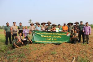 Dandim 0510/Tigaraksa Tinjau Lokasi Tanam Jagung Program Ketahahan Pangan Korem 052/Wkr