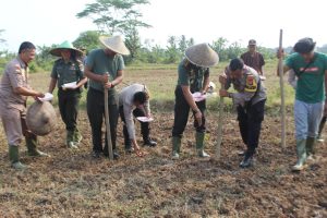 Dandim 0510/Tigaraksa Tinjau Lokasi Tanam Jagung Program Ketahahan Pangan Korem 052/Wkr