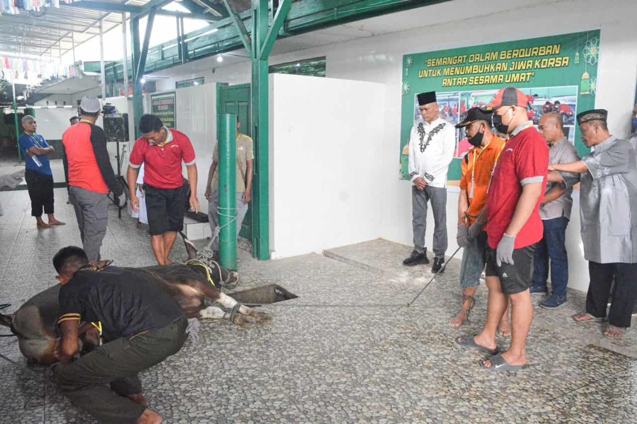 Danrem 172/PWY Ajak Prajuritnya Peduli Sesama Dengan Berqurban