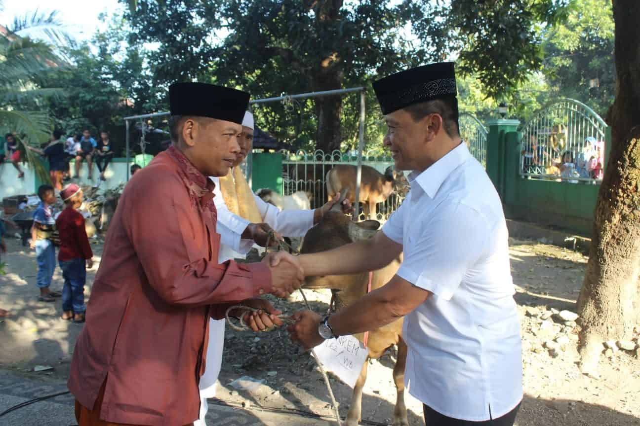 Bentuk Kerukunan Umat Beragama, Danrem 162/WB Serahkan Bantuan Hewan Kurban