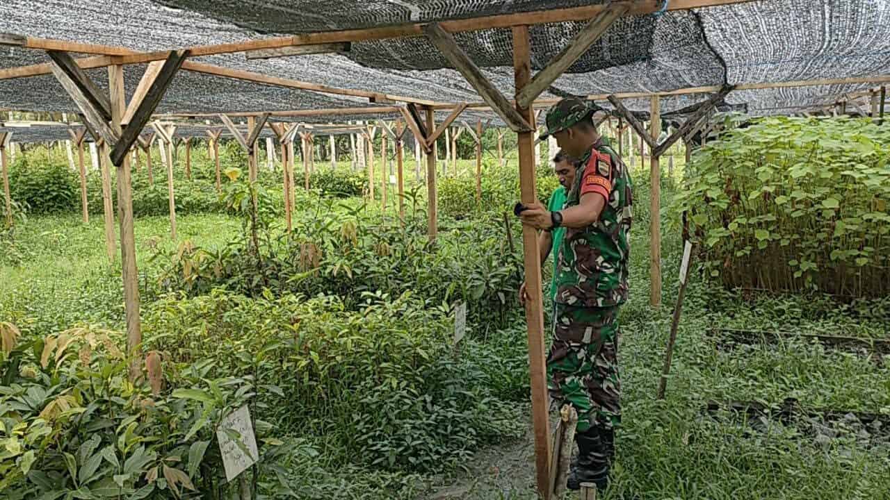 Satgas Kodim Maluku Yonarhanud 11/WBY Berikan Penyuluhan Pertanian di Desa Waesamu