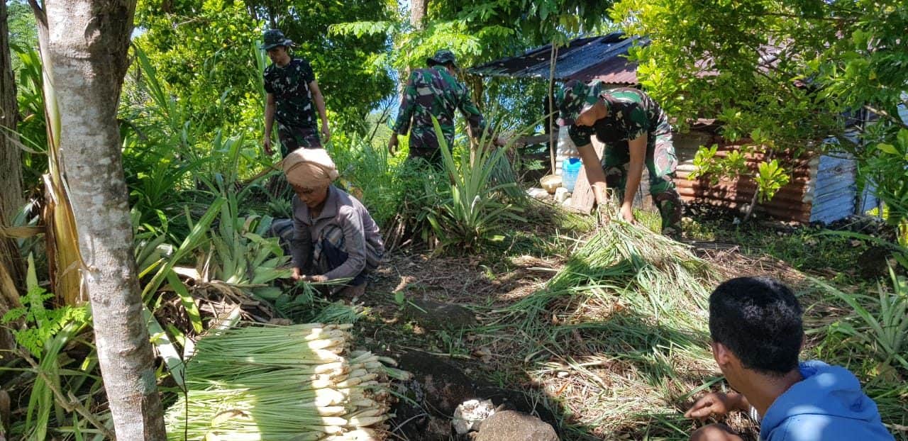 Anggota Satgas Kodim Maluku Yonarhanud 11/WBY Bantu Petani Memanen Serai di Dusun Waikiku