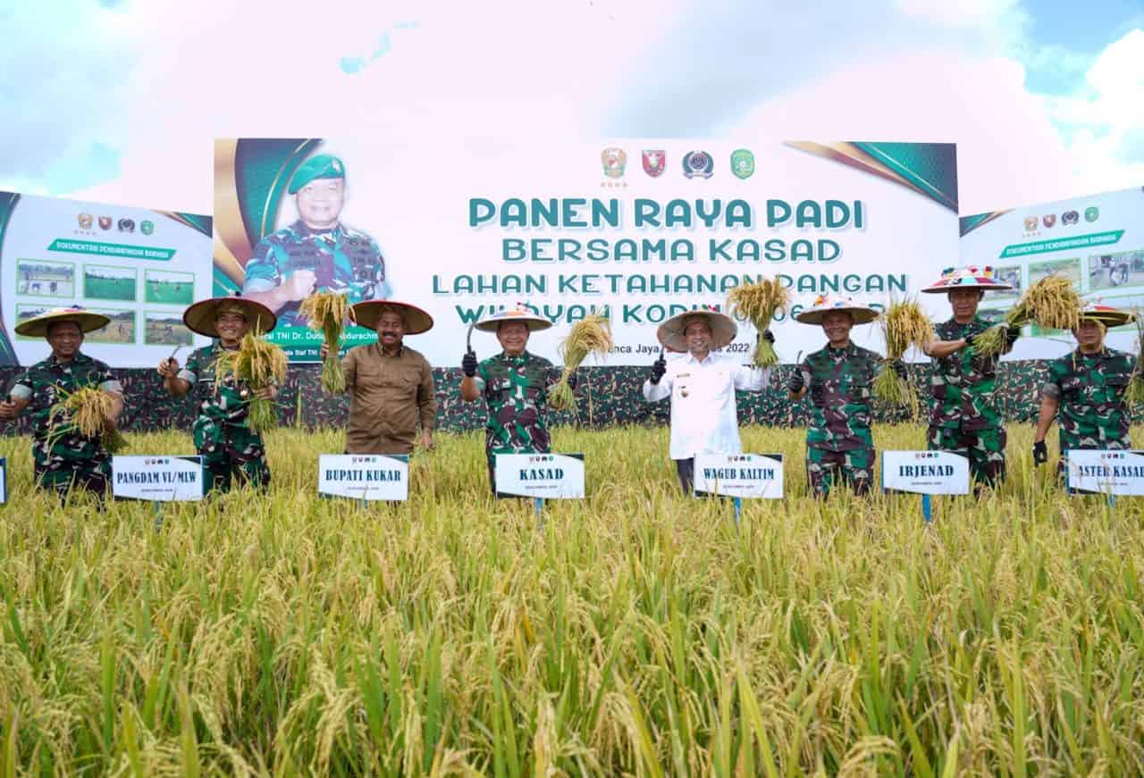 Dimana-mana, Kasad Panen Raya Wujudkan Ketahanan Pangan Nasional
