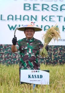 Dimana-mana, Kasad Panen Raya Wujudkan Ketahanan Pangan Nasional