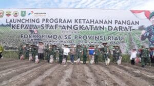 TNI AD, PHR dan Poktan Suku Sakai Bersinergi Dukung Ketahanan Pangan Nasional